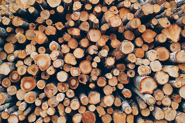 exportar madera